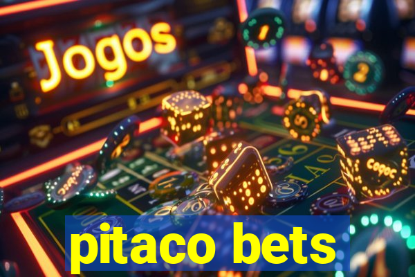 pitaco bets